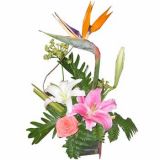 ϲʻٵ