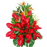ϲʻٵ