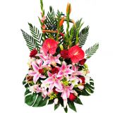 ϲʻٵ